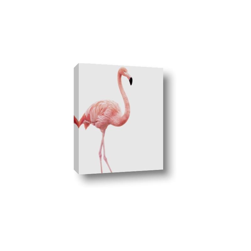 Picture of Pinkfully Perfect  _GroupedProduct_Rectangle_Portrait_Photography _GroupedProduct_Rectangle_Portrait_Canvas_