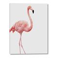Picture of Pinkfully Perfect  _GroupedProduct_Rectangle_Portrait_Photography _GroupedProduct_Rectangle_Portrait_Canvas_