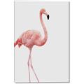 Picture of Pinkfully Perfect  _GroupedProduct_Rectangle_Portrait_Photography _GroupedProduct_Rectangle_Portrait_Canvas_