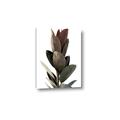 Picture of Plant Life _GroupedProduct_Rectangle_Portrait_Photography _GroupedProduct_Rectangle_Portrait_Canvas_