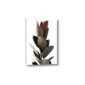 Picture of Plant Life _GroupedProduct_Rectangle_Portrait_Photography _GroupedProduct_Rectangle_Portrait_Canvas_
