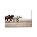 Picture of Ride Along _GroupedProduct_Rectangle_Landscape_Photography _GroupedProduct_Rectangle_Landscape_Canvas_