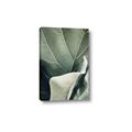 Picture of Sage Leaves  _GroupedProduct_Rectangle_Portrait_Photography _GroupedProduct_Rectangle_Portrait_Canvas_
