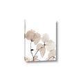Picture of Sepia Botanic _GroupedProduct_Rectangle_Portrait_Photography _GroupedProduct_Rectangle_Portrait_Canvas_