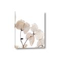Picture of Sepia Botanic _GroupedProduct_Rectangle_Portrait_Photography _GroupedProduct_Rectangle_Portrait_Canvas_