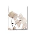 Picture of Sepia Botanic _GroupedProduct_Rectangle_Portrait_Photography _GroupedProduct_Rectangle_Portrait_Canvas_