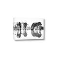 Picture of Sipping Zebras  _GroupedProduct_Rectangle_Landscape_Photography _GroupedProduct_Rectangle_Landscape_Canvas_
