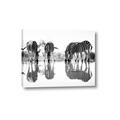 Picture of Sipping Zebras  _GroupedProduct_Rectangle_Landscape_Photography _GroupedProduct_Rectangle_Landscape_Canvas_