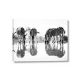 Picture of Sipping Zebras  _GroupedProduct_Rectangle_Landscape_Photography _GroupedProduct_Rectangle_Landscape_Canvas_
