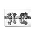 Picture of Sipping Zebras  _GroupedProduct_Rectangle_Landscape_Photography _GroupedProduct_Rectangle_Landscape_Canvas_