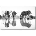 Picture of Sipping Zebras  _GroupedProduct_Rectangle_Landscape_Photography _GroupedProduct_Rectangle_Landscape_Canvas_