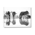Picture of Sipping Zebras  _GroupedProduct_Rectangle_Landscape_Photography _GroupedProduct_Rectangle_Landscape_Canvas_