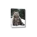 Picture of Snowy Bear _GroupedProduct_Rectangle_Portrait_Photography _GroupedProduct_Rectangle_Portrait_Canvas_