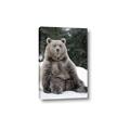 Picture of Snowy Bear _GroupedProduct_Rectangle_Portrait_Photography _GroupedProduct_Rectangle_Portrait_Canvas_