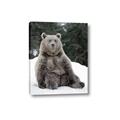 Picture of Snowy Bear _GroupedProduct_Rectangle_Portrait_Photography _GroupedProduct_Rectangle_Portrait_Canvas_