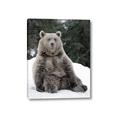 Picture of Snowy Bear _GroupedProduct_Rectangle_Portrait_Photography _GroupedProduct_Rectangle_Portrait_Canvas_