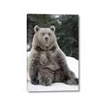 Picture of Snowy Bear _GroupedProduct_Rectangle_Portrait_Photography _GroupedProduct_Rectangle_Portrait_Canvas_