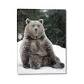 Picture of Snowy Bear _GroupedProduct_Rectangle_Portrait_Photography _GroupedProduct_Rectangle_Portrait_Canvas_
