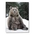 Picture of Snowy Bear _GroupedProduct_Rectangle_Portrait_Photography _GroupedProduct_Rectangle_Portrait_Canvas_