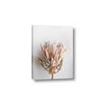Picture of Soft Pink _GroupedProduct_Rectangle_Portrait_Photography _GroupedProduct_Rectangle_Portrait_Canvas_