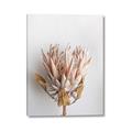 Picture of Soft Pink _GroupedProduct_Rectangle_Portrait_Photography _GroupedProduct_Rectangle_Portrait_Canvas_