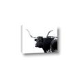 Picture of Spotted Bull  _GroupedProduct_Rectangle_Landscape_Photography _GroupedProduct_Rectangle_Landscape_Canvas_
