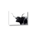 Picture of Spotted Bull  _GroupedProduct_Rectangle_Landscape_Photography _GroupedProduct_Rectangle_Landscape_Canvas_
