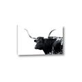 Picture of Spotted Bull  _GroupedProduct_Rectangle_Landscape_Photography _GroupedProduct_Rectangle_Landscape_Canvas_