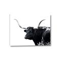 Picture of Spotted Bull  _GroupedProduct_Rectangle_Landscape_Photography _GroupedProduct_Rectangle_Landscape_Canvas_