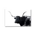 Picture of Spotted Bull  _GroupedProduct_Rectangle_Landscape_Photography _GroupedProduct_Rectangle_Landscape_Canvas_