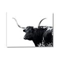 Picture of Spotted Bull  _GroupedProduct_Rectangle_Landscape_Photography _GroupedProduct_Rectangle_Landscape_Canvas_