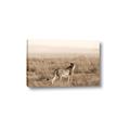 Picture of Spotted in the Savanna  _GroupedProduct_Rectangle_Landscape_Photography _GroupedProduct_Rectangle_Landscape_Canvas_