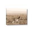 Picture of Spotted in the Savanna  _GroupedProduct_Rectangle_Landscape_Photography _GroupedProduct_Rectangle_Landscape_Canvas_