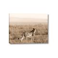 Picture of Spotted in the Savanna  _GroupedProduct_Rectangle_Landscape_Photography _GroupedProduct_Rectangle_Landscape_Canvas_