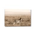 Picture of Spotted in the Savanna  _GroupedProduct_Rectangle_Landscape_Photography _GroupedProduct_Rectangle_Landscape_Canvas_