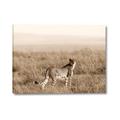 Picture of Spotted in the Savanna  _GroupedProduct_Rectangle_Landscape_Photography _GroupedProduct_Rectangle_Landscape_Canvas_