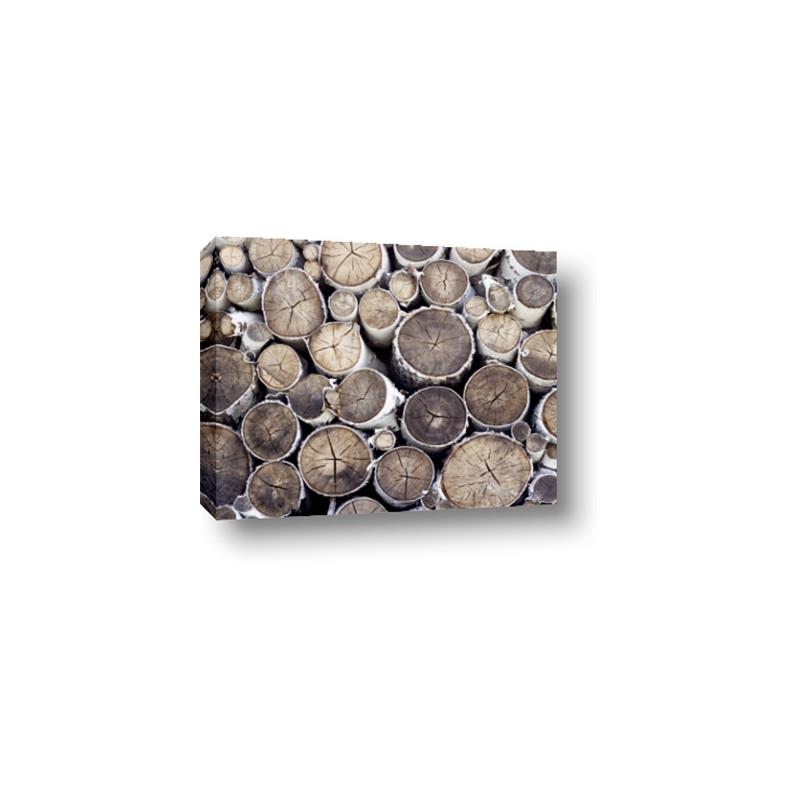 Picture of Stacked Logs _GroupedProduct_Rectangle_Landscape_Photography _GroupedProduct_Rectangle_Landscape_Canvas_