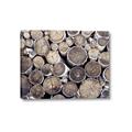 Picture of Stacked Logs _GroupedProduct_Rectangle_Landscape_Photography _GroupedProduct_Rectangle_Landscape_Canvas_