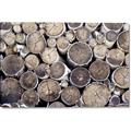 Picture of Stacked Logs _GroupedProduct_Rectangle_Landscape_Photography _GroupedProduct_Rectangle_Landscape_Canvas_