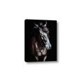 Picture of Stallion _GroupedProduct_Rectangle_Portrait_Photography _GroupedProduct_Rectangle_Portrait_Canvas_