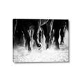 Picture of Stampede _GroupedProduct_Rectangle_Landscape_Photography _GroupedProduct_Rectangle_Landscape_Canvas_