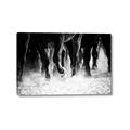 Picture of Stampede _GroupedProduct_Rectangle_Landscape_Photography _GroupedProduct_Rectangle_Landscape_Canvas_