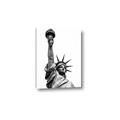 Picture of Statue of Liberty _GroupedProduct_Rectangle_Portrait_Photography _GroupedProduct_Rectangle_Portrait_Canvas_
