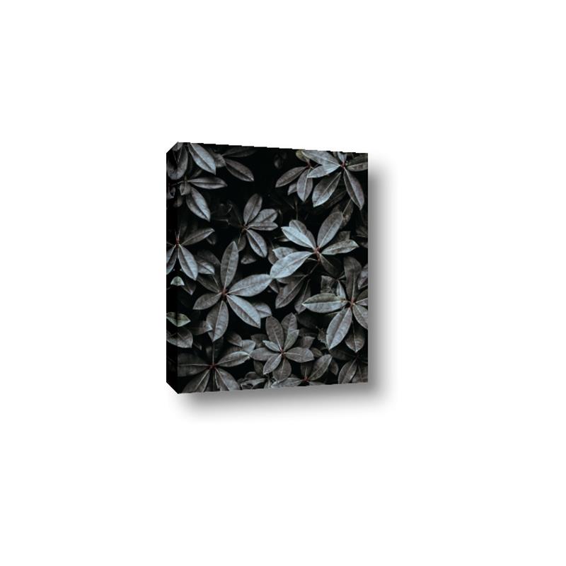 Picture of Intensely Green I _GroupedProduct_Rectangle_Portrait_Photography _GroupedProduct_Rectangle_Portrait_Canvas_