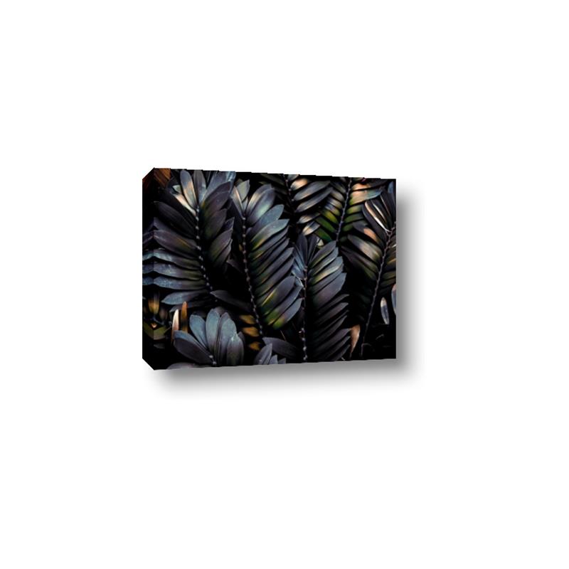 Picture of Intensely Green II _GroupedProduct_Rectangle_Landscape_Canvas_