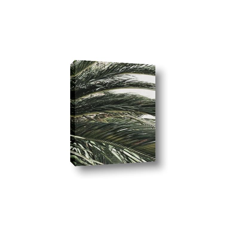 Picture of Sun & Palms  _GroupedProduct_Rectangle_Portrait_Photography _GroupedProduct_Rectangle_Portrait_Canvas_