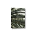 Picture of Sun & Palms  _GroupedProduct_Rectangle_Portrait_Photography _GroupedProduct_Rectangle_Portrait_Canvas_