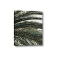 Picture of Sun & Palms  _GroupedProduct_Rectangle_Portrait_Photography _GroupedProduct_Rectangle_Portrait_Canvas_