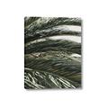Picture of Sun & Palms  _GroupedProduct_Rectangle_Portrait_Photography _GroupedProduct_Rectangle_Portrait_Canvas_