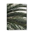 Picture of Sun & Palms  _GroupedProduct_Rectangle_Portrait_Photography _GroupedProduct_Rectangle_Portrait_Canvas_